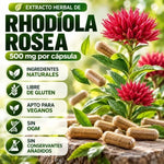 Rhodiola Rosea para Equilibrio Mental