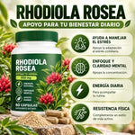 Rhodiola Rosea para Equilibrio Mental