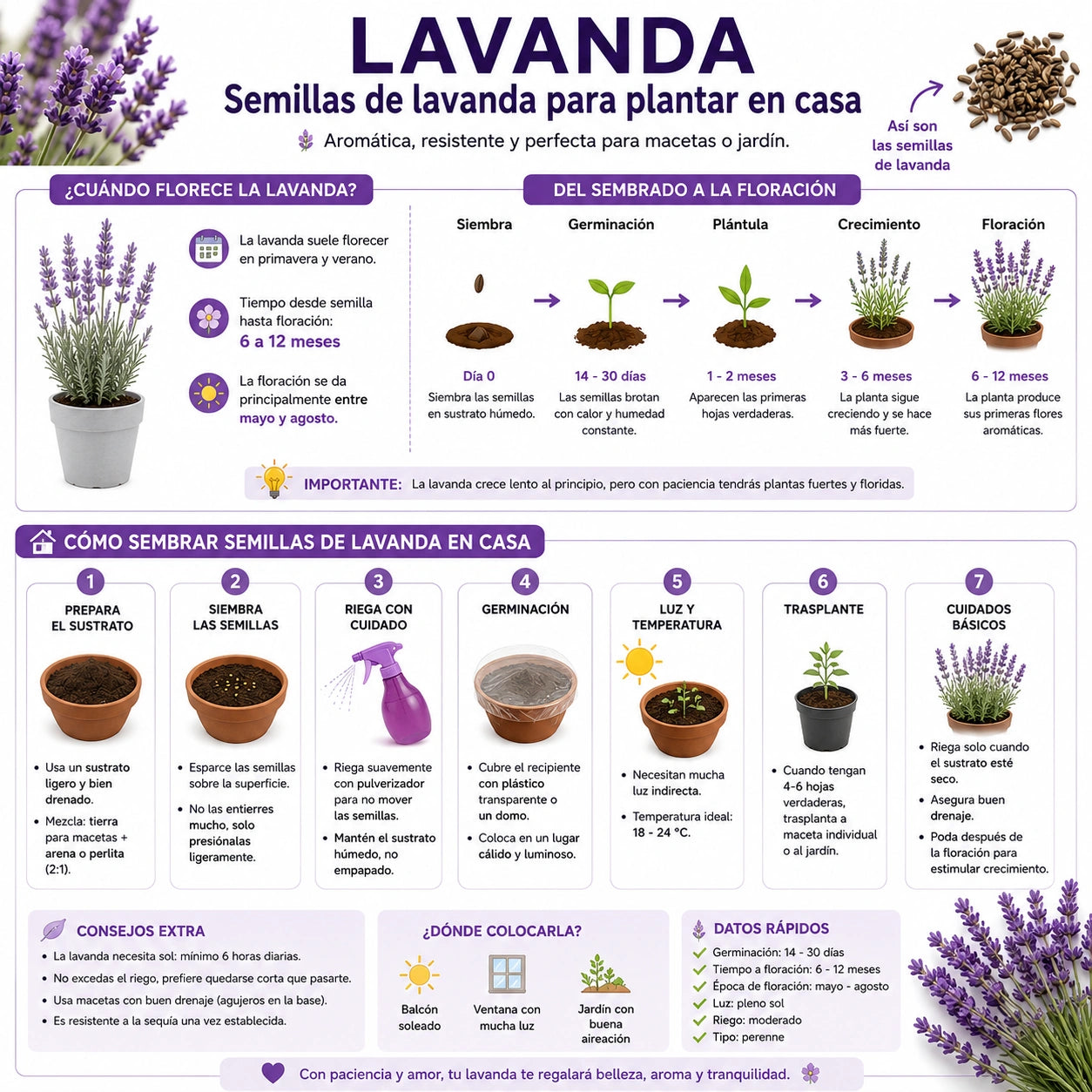100 Semillas de lavanda para plantar en casa+ Ebook y garantia de germinación