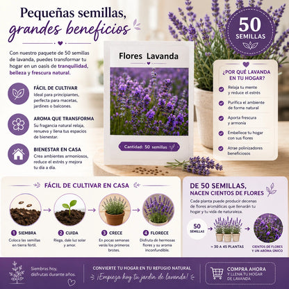 100 Semillas de lavanda para plantar en casa+ Ebook y garantia de germinación