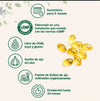 Extracto de Ajo Añejado Sin Olor